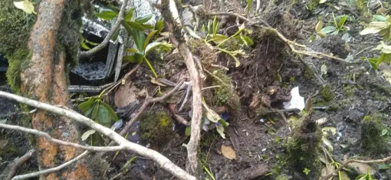 6 people died in the Manang Air helicopter crash.