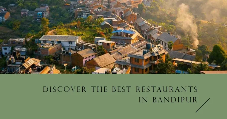 The Best Restaurants in Bandipur: A Foodie's Guide