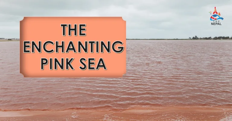 The Enchanting Pink Sea of Salinas de Galerazamba