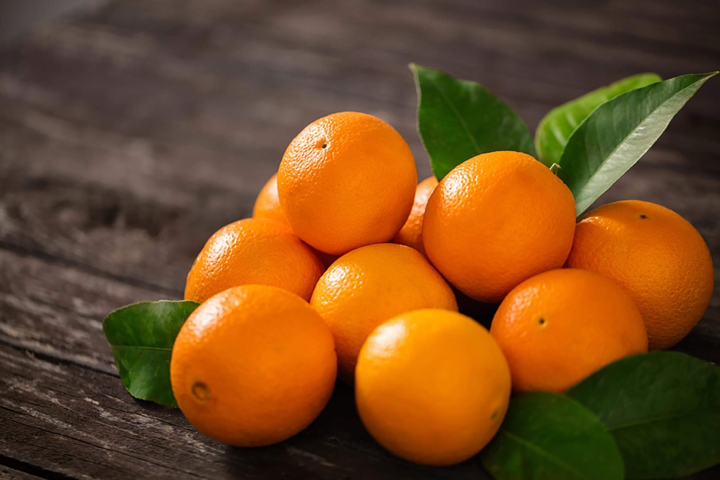 Mandarin Orange Suntala — National Fruit of Nepal growing in mid-hills